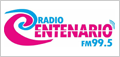Centenario 99.5 FM, Radios de Caaguazú