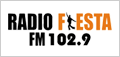 Fiesta 102.9 FM, Radios de Coronel Oviedo
